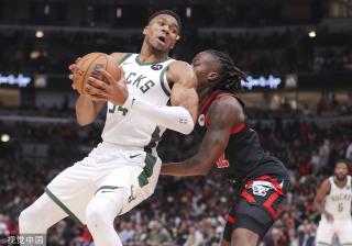 单后腰体系 单后腰体系